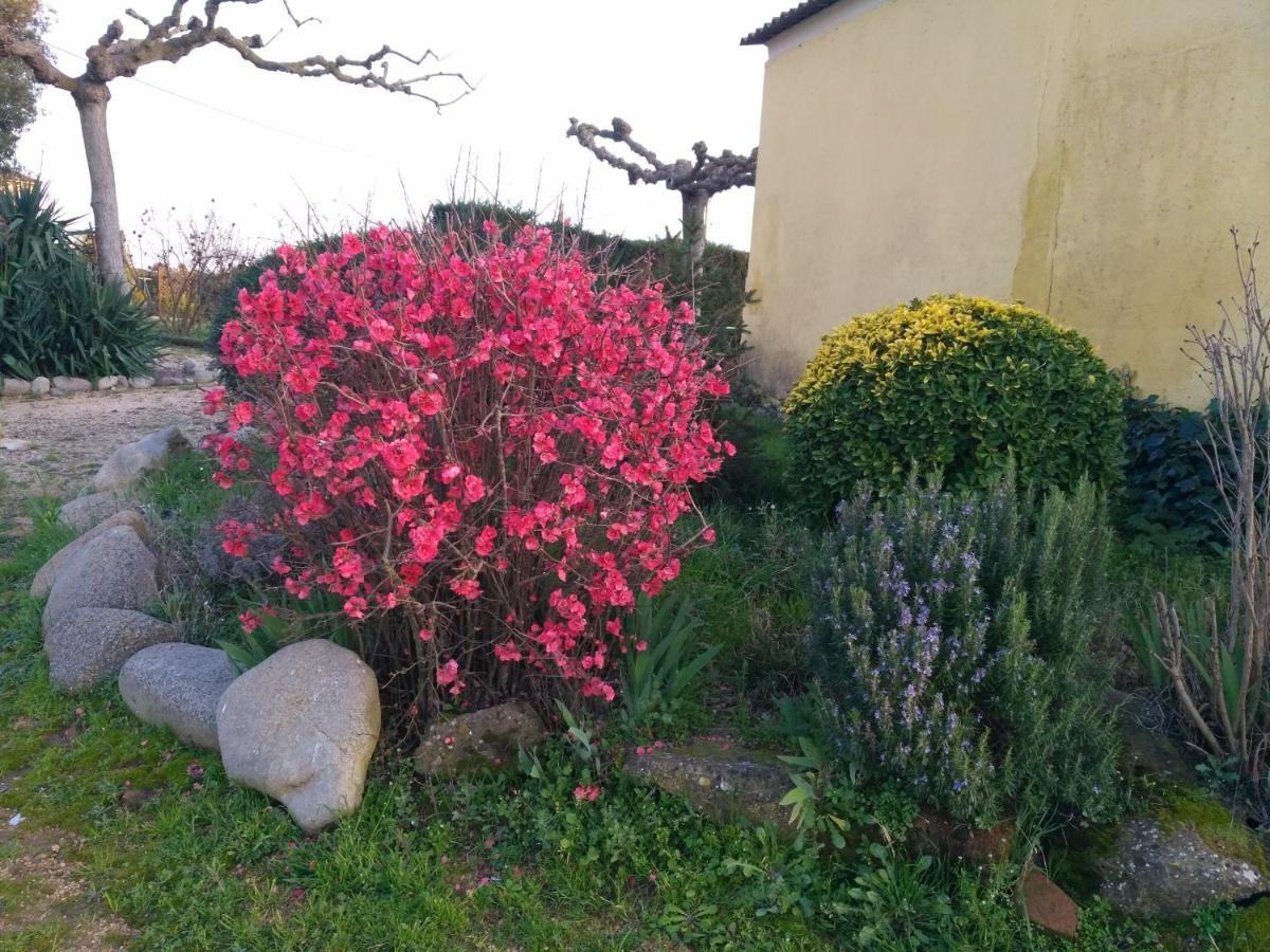 Casa Rural "Can Abres" Vilobi D'Onyar Girona Viloví de Oñar Eksteriør bilde