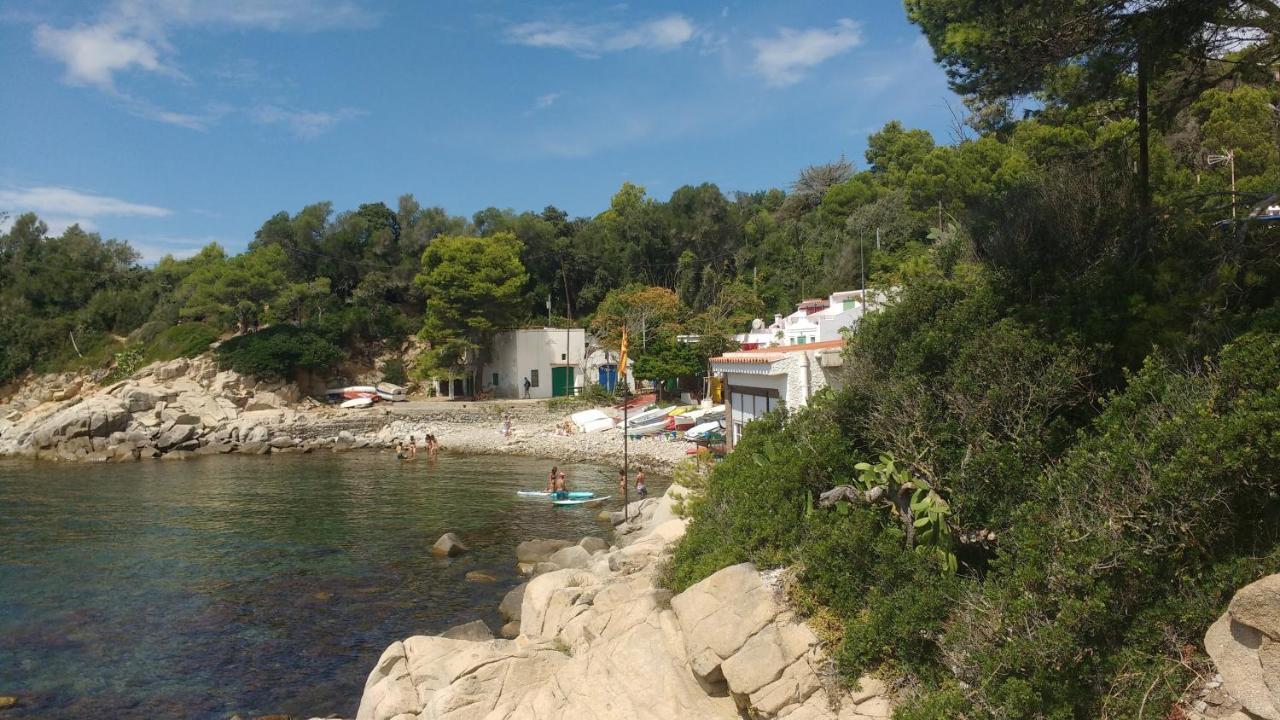 Casa Rural "Can Abres" Vilobi D'Onyar Girona Viloví de Oñar Eksteriør bilde