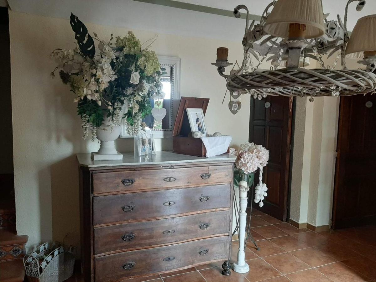 Casa Rural "Can Abres" Vilobi D'Onyar Girona Viloví de Oñar Eksteriør bilde